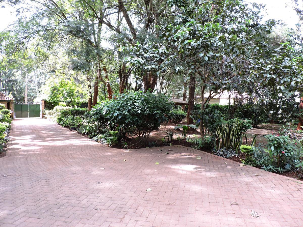 Milimani Backpackers Hostel Nairobi Luaran gambar