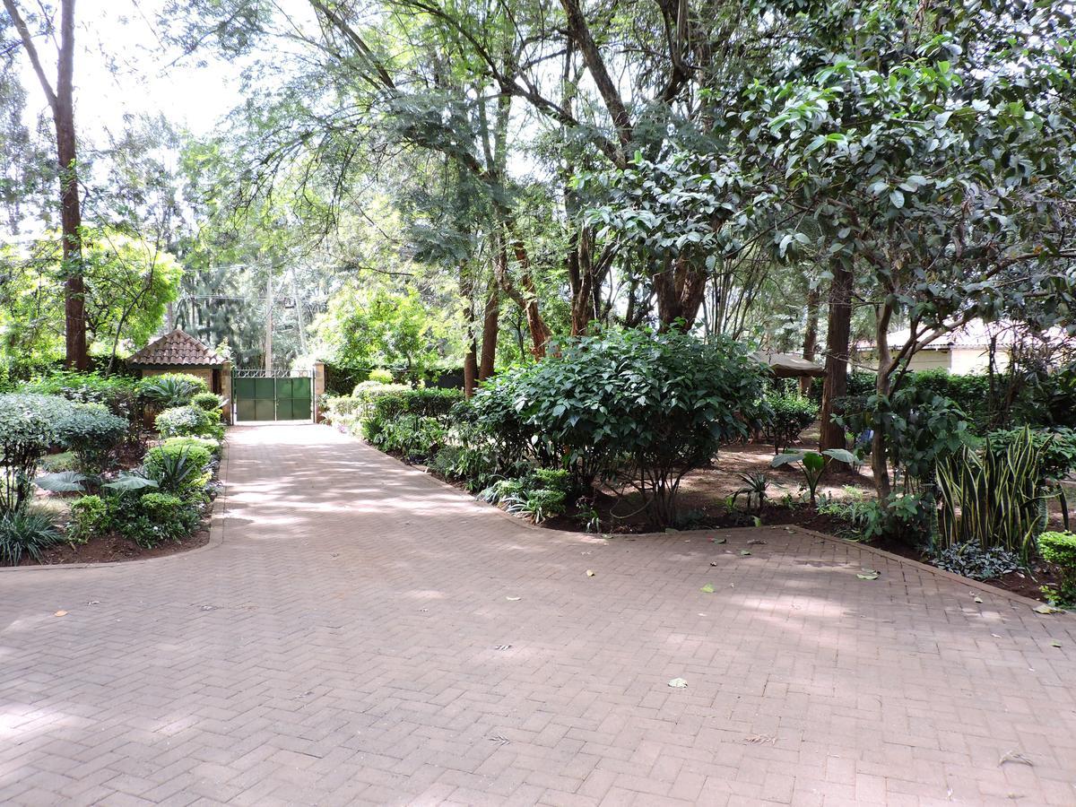 Milimani Backpackers Hostel Nairobi Luaran gambar